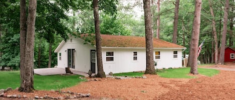 Enjoy nature's embrace in a charming sanctuary surrounded by towering pines!