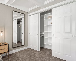 Large Bedroom 1 closet with custom organizer