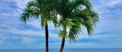 Magnificent Ocean views from the pool deck, enjoy a relaxing day by the pool.