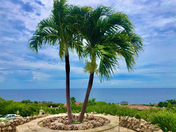 Magnificent Ocean views from the pool deck, enjoy a relaxing day by the pool.