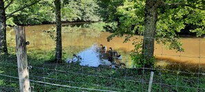 Terrain de l’hébergement 