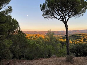 Terrain de l’hébergement 