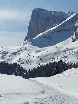 Snow and ski sports