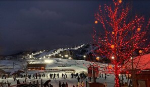 Snow and ski sports