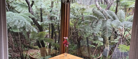 Welcome to The Nene Room panoramic views of the rainforest at The Pacifica Inn.
