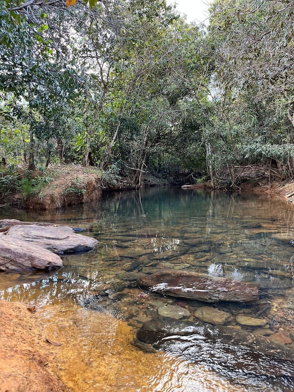 Terrenos do alojamento