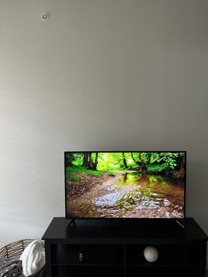 Televisión