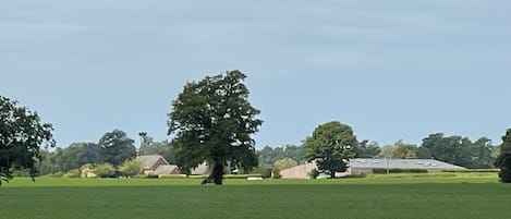 View of the barns