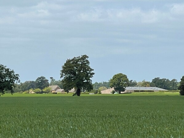 View of the barns