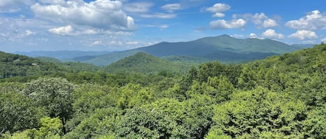 Boundless Blue Ridge views from the back deck & every room in the house!