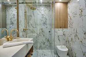 Salle de bain avec douche et toilette