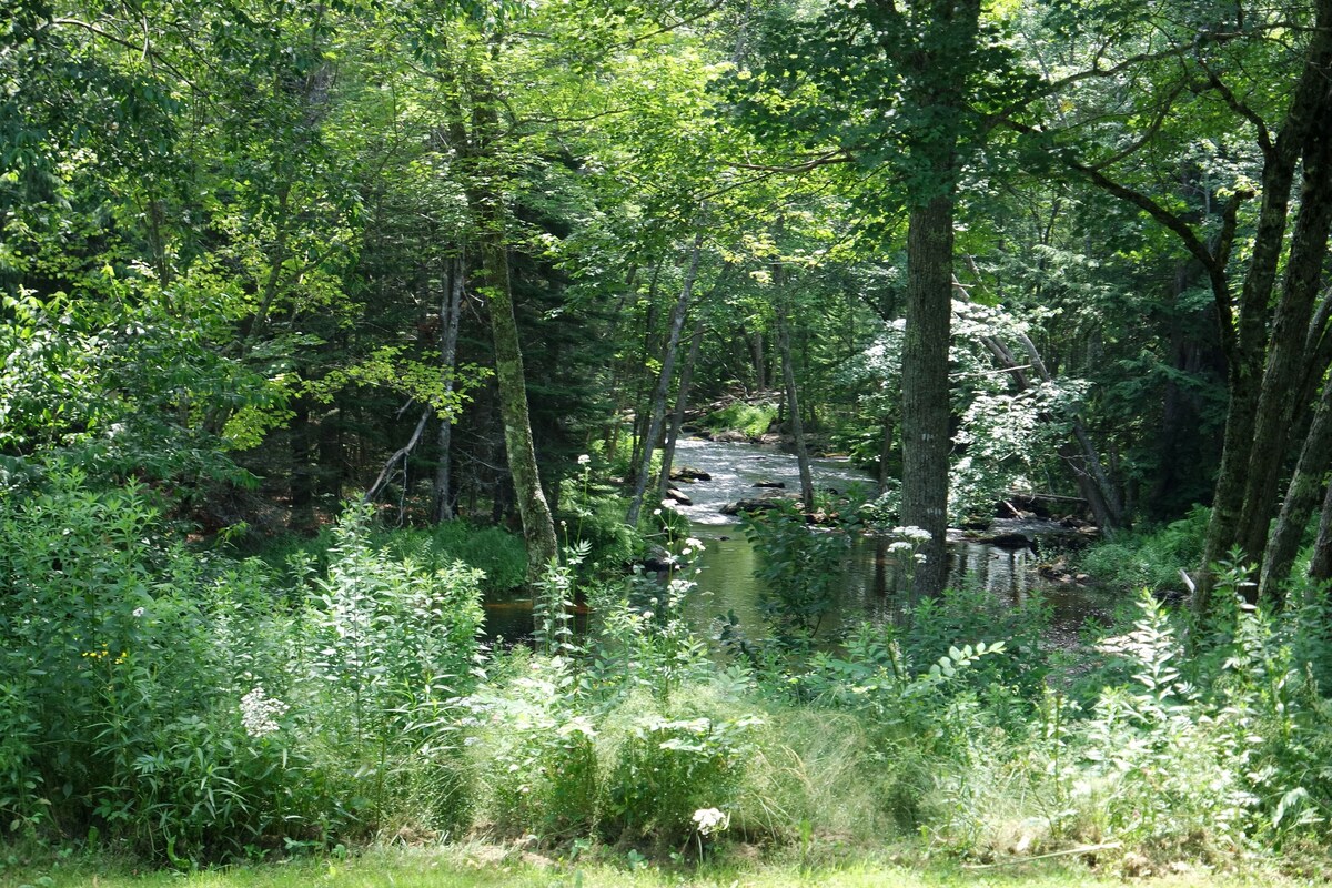 Cozy Apt. at 770 North Bend Unit B in the charming coastal town of Surry, Maine.