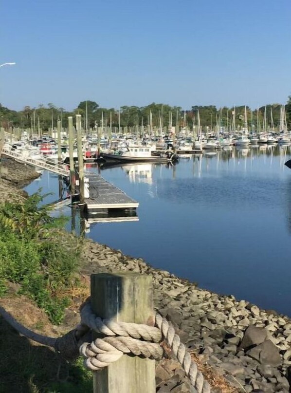 Marina