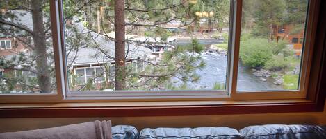Stunning views from the living room of the Truckee River and the River Ranch 