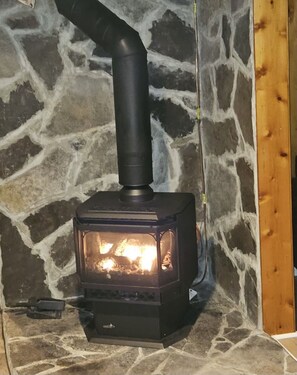 Brand new propane fireplace and baseboard heating to keep you warm on those chilly days in any season.