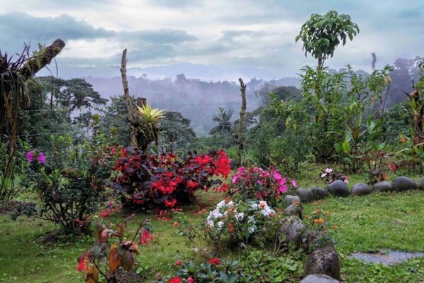 Terrenos do alojamento