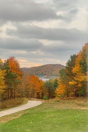 Autumn view down driveway looking south towards Elberta hill
