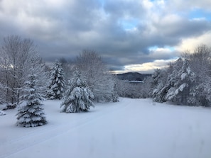 Winter view down the driveway