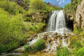 Waterfalls On-Site | Shared Fire Pits (Wood Provided)