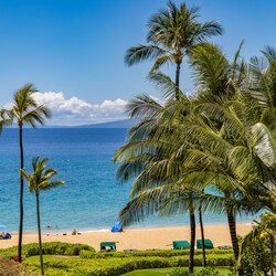 Beachfront living at the Whaler