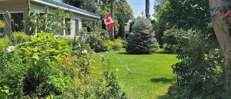 Jardines del alojamiento