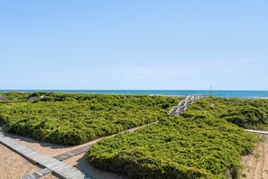 DU810: Endless Summer | Top Level Deck View