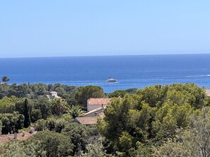 La vue de la terrasse