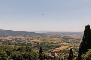 Sky, Plant Community, Ecoregion, Highland, Tree, Plant, Mountain, Natural Landscape, Cloud, Atmospheric Phenomenon