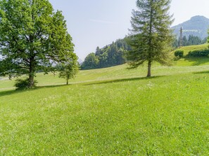 Aussicht vom Ferienhaus [Sommer]