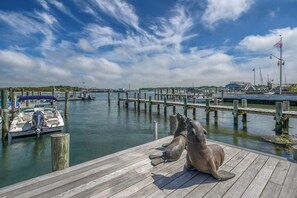 Waterfront view from dock