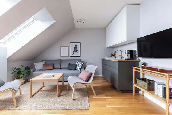 One bedroom apartment with queen size bed, convertible sofa bed and kitchen