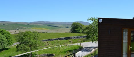 Rolling hills of the Yorkshire Dales with Penyghent 