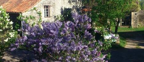 Jardines del alojamiento