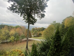 Beautiful Fall colors
