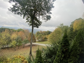 Beautiful Fall colors
