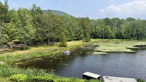 Paddleboat adventurers are exploring pond lilies. 