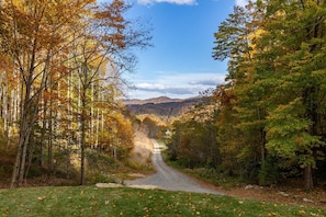 View from the front porch