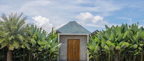 Vista frontal de la propiedad