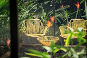 Terraza o patio