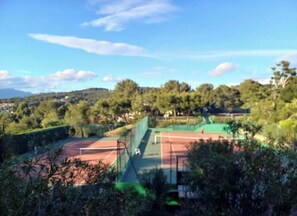 Terrain de sport