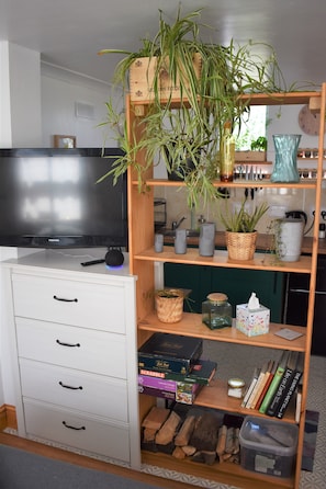 The Owl Box has a Fire TV, Alexa system and smart lighting. 