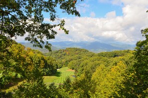 Deck view