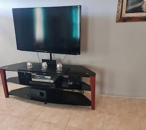 Television
