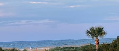 Vue sur la plage/l’océan