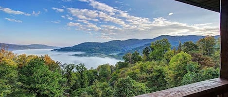 Vista desde la propiedad