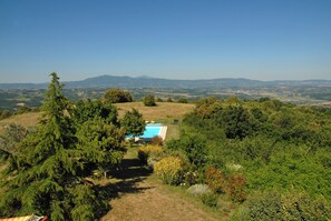 The swimming pool and the little arbored area to read or to relax