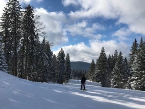 Snow and ski sports