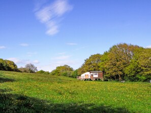 Shiva - Gower Yurts, Gower 