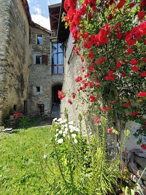 Main view
