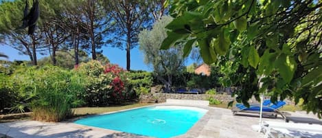 terrasse et piscine avec transats au soleil et a l'ombre des oliviers, au choix 